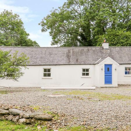 The Old White Cottage Shillelagh Bagian luar foto